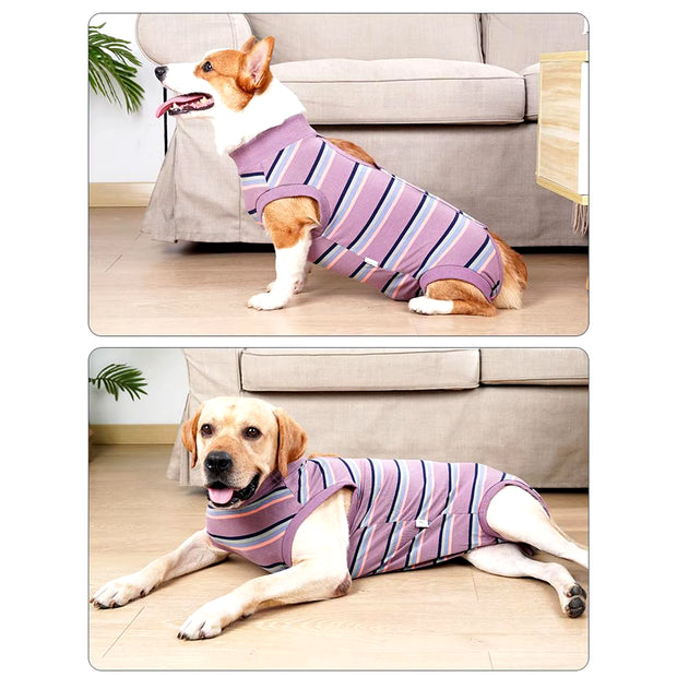 Pet Clothes Postoperative Clothes Winter Fleece Pet Cotton Coat Thickened Warm and Soft Winter Pet Clothes for Small Dogs Male