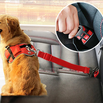 Adjustable Pet Car Seat Belt – Safe Vehicle Restraint