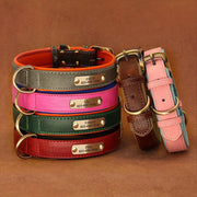 Custom PU Leather Dog Collar with Free Engraved Nameplate for All Sizes