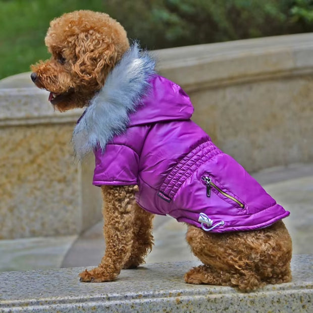 New Pet Dogs Jacket Coat Clothes Fashion Hoodie Coat Small Medium Large Dogs Autumn Winter Warm Costume Home Pet Clothes Product